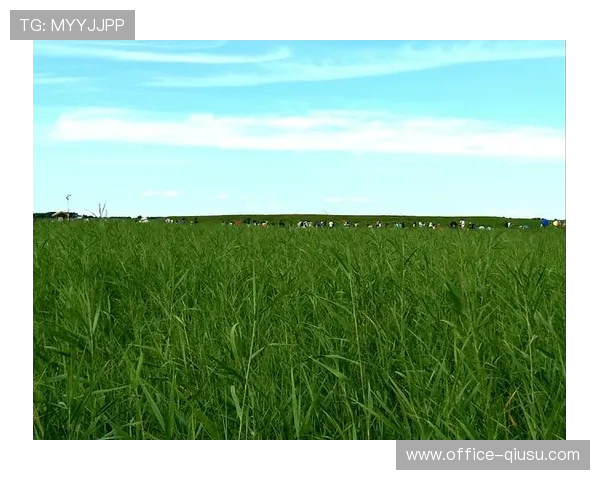 齐齐哈尔引入上海年轻球员聂芯蕊吴顶文补充阵容深度